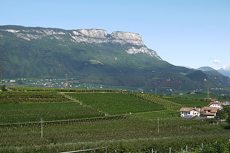 Južné Tirolsko, vinice, hory