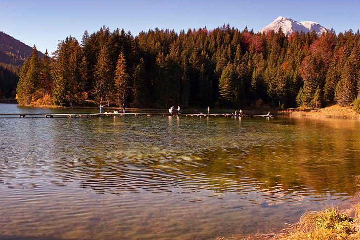 austria, lake, water, reflections, forest, trees, woods