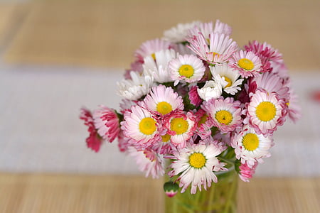 bouquet, marguerites, fleurs, décoration, la délicatesse, Daisy