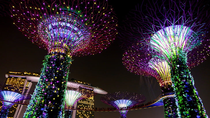 jardín de la bahía, Singapur, noche, iluminación, punto de referencia, supertree, atracción