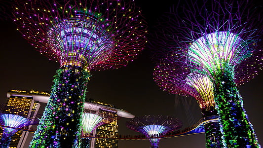 Taman oleh bay, Singapura, malam, pencahayaan, Landmark, supertree, daya tarik