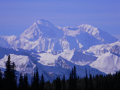 planine, Denali, Aljaska, nacionalne, parka, krajolik, Divljina