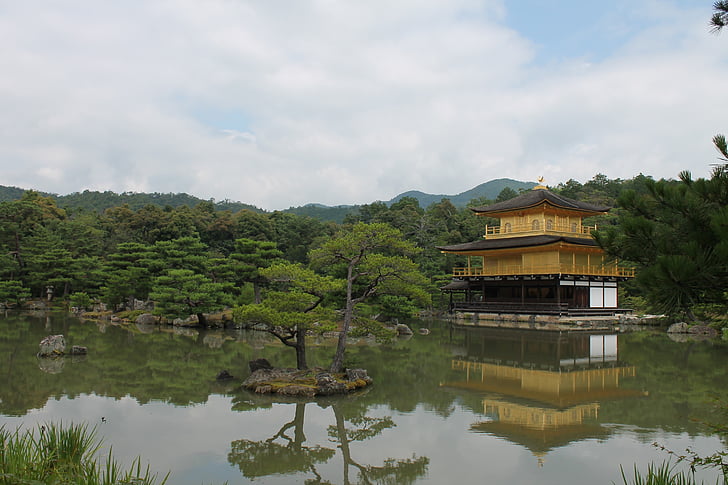 pavillon d’or, Japon, eau, étang, arbre, réflexion, Japonais