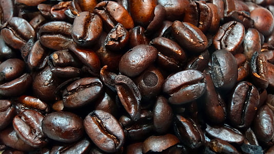 makro kavna zrna, kavna zrna, od blizu, kava, fižol, Cela zrna kave, fižol