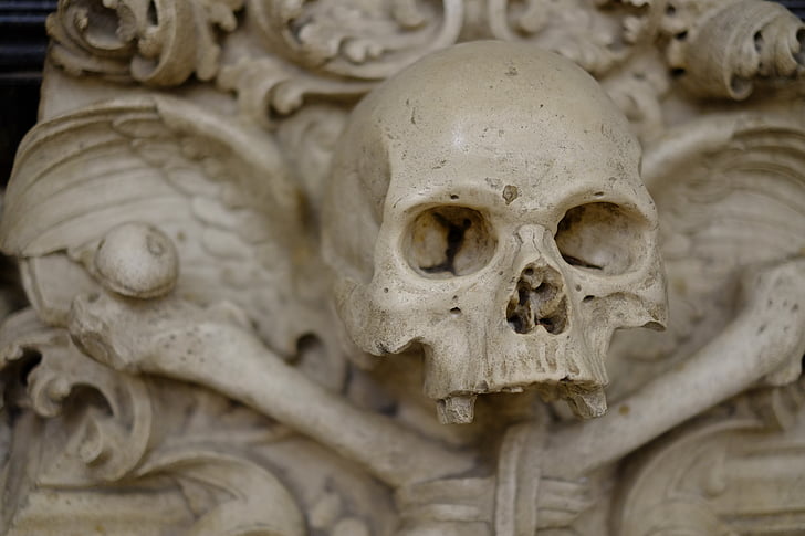 blanc, crani, adorn, escultura, esquelet, crani humà, part del cos humà