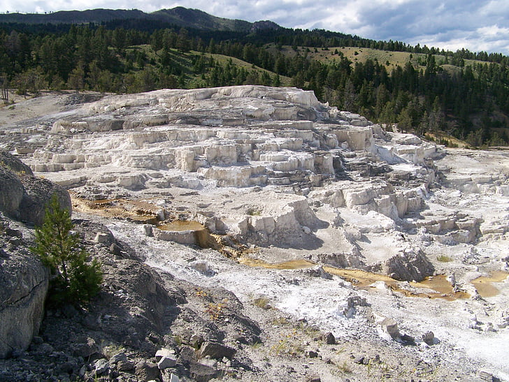 terrasses, Mammoth hot springs, Yellowstone, géologiques