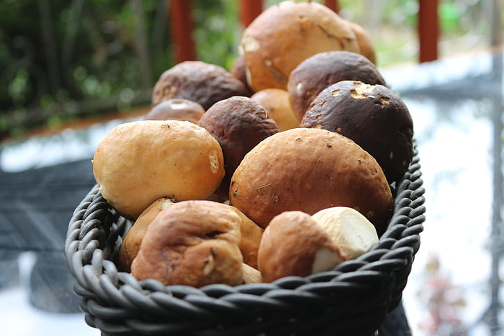 porcini mushrooms, mushroom, mushrooms, basket, autumn, edible, brown