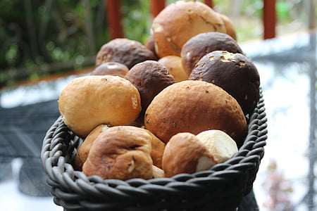Jamur porcini, jamur, jamur, keranjang, musim gugur, dapat dimakan, coklat