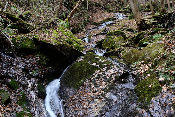 teigitsch, Bach, naturen, Steiermark, Creek, vattenfall, Stream