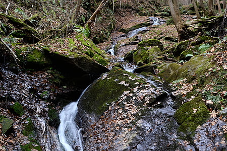 teigitsch, de Bach, naturaleza, Styria, Creek, cascada, corriente