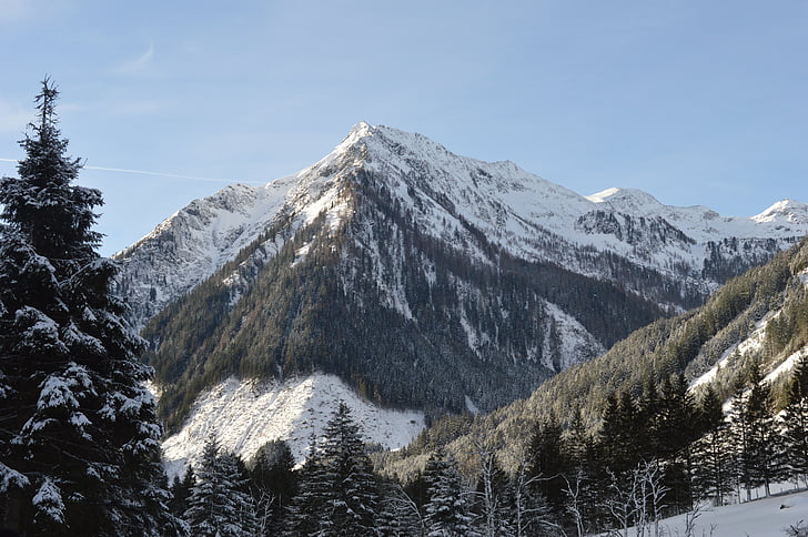 mountain, snow, alpine, winter, nature, landscape, forest