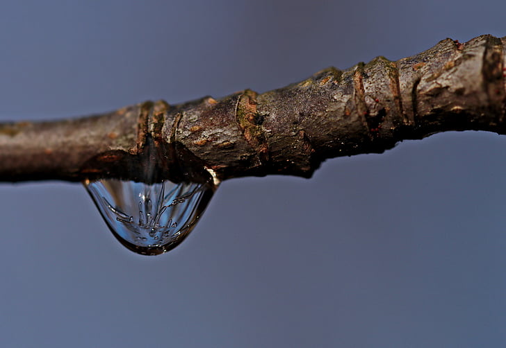 drop of water, drip, nature, dew, light, raindrop, close