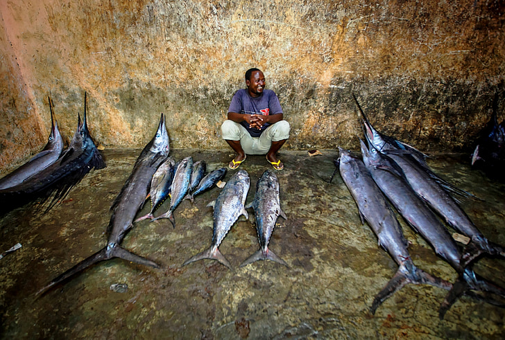 Agulhão-bandeira, peixe, vendendo o peixe, mercado de peixe, atum, homem, sorriso