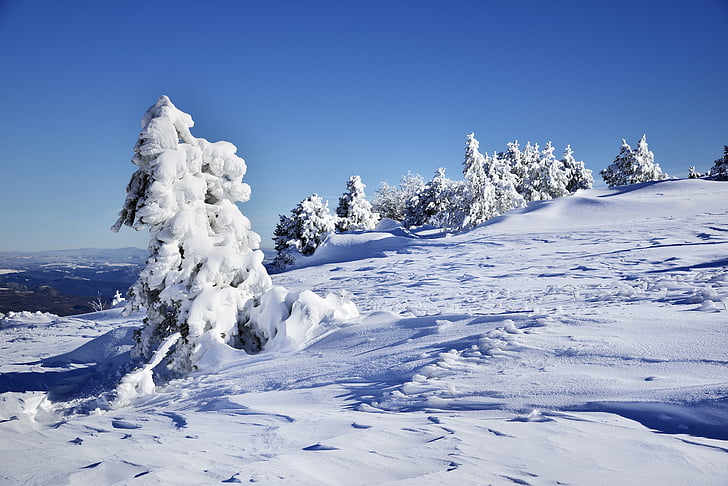 Alpit, valkoinen maisema, talvi, puu, Luonto, lumi, Mountain