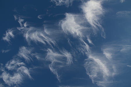 núvols Cirrus, núvols, blau, cel, clar, assolellat, bonica