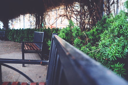 пейка, мъгла, столове, едър план, зеленина, листа, метал