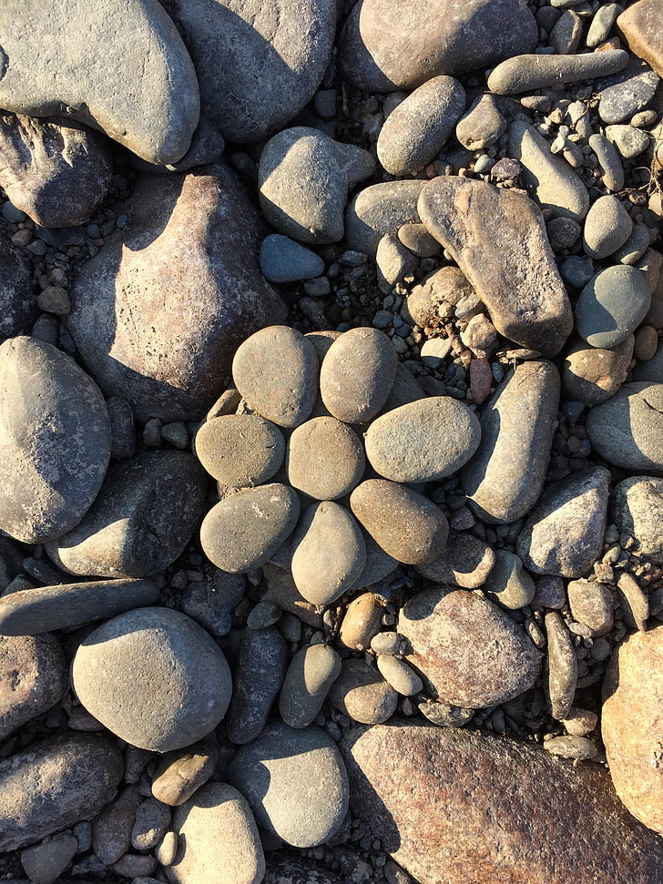 rocas, flor, naturaleza