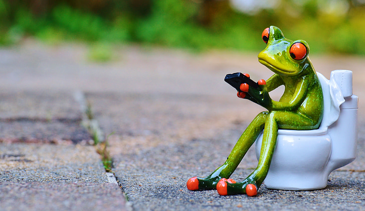frog, mobile phone, toilet, loo, wc, funny, session