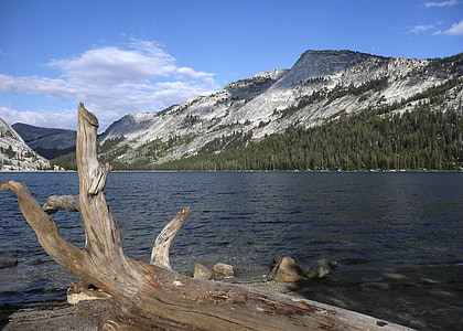 kalns, klinšainas, ezers, Yosemite nacionālais parks, California, ASV, daba
