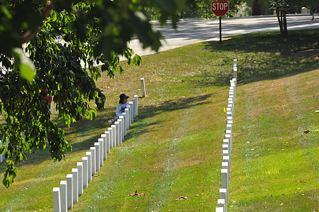 Arlington, Washington dc, katona, memória, emlékmű, Graves, pihenő