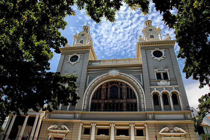 stora synagogan, Kapstaden, Sydafrika, judiska, tro, religion, träd