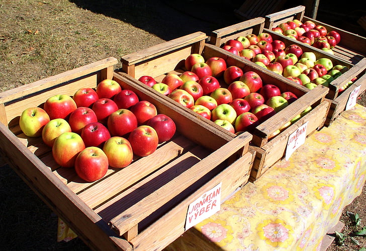 õunad, puu, Apple, lootele