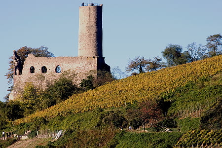 Château, Ruin, Odenwald