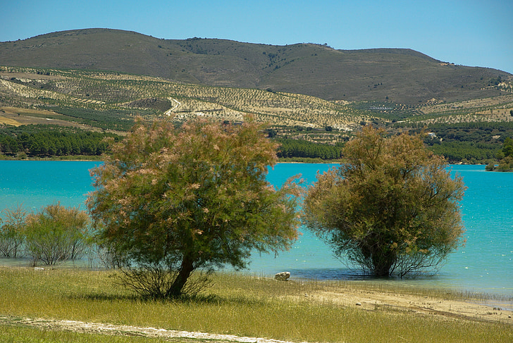 Andalusien, Los bermejales sjön, Arenas del rey, naturen, sjön, landskap, sommar