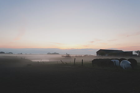 Dawn, amurg, ferma, câmp, ceaţă, păşuni, peisaj