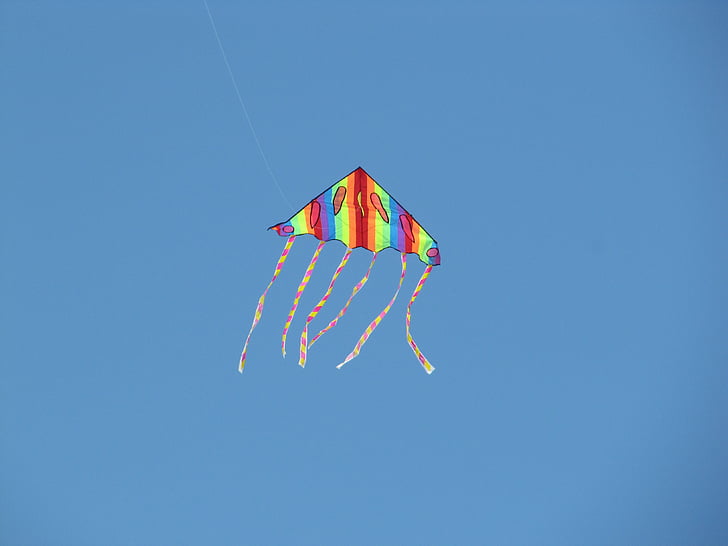 air, snakes, rainbow, sky, blue, day, summer