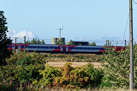 peisaj, tren, de mare viteză, tren de mare viteză, transport, copaci, peisaj