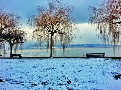 湖, 冬季景观, 雪域景观, 自然, 板凳, 全景, 垂柳