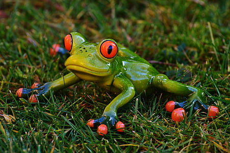 frog, meadow, figure, animal, green, cute, sweet