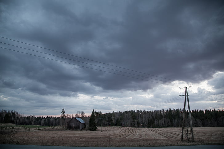cảnh quan, Phần Lan, Barn, cũ, tối, rừng, mái che