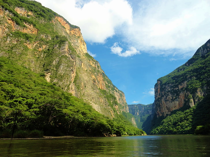 Chiapas, manzara, doğa, güzel, çiçek, su, şelale