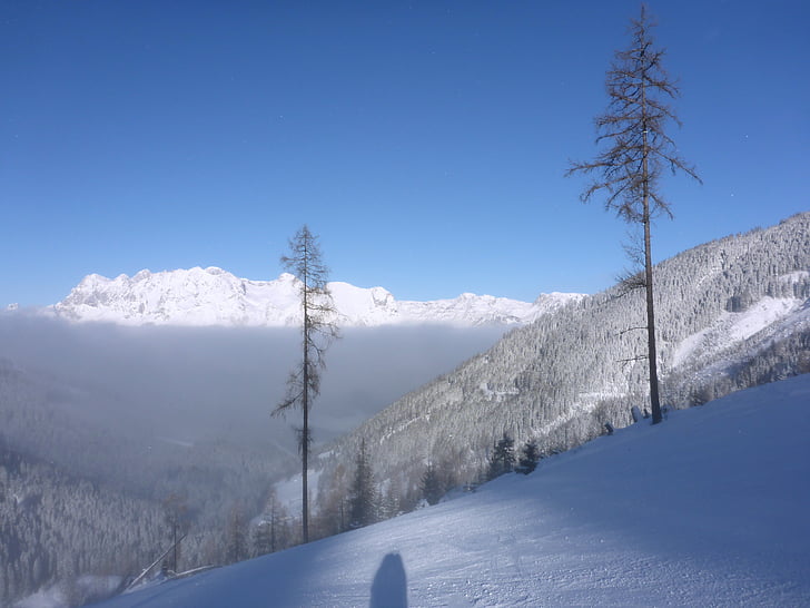 pistes d'esquí, boira, per sobre dels núvols, neu, negre, sortida, pista