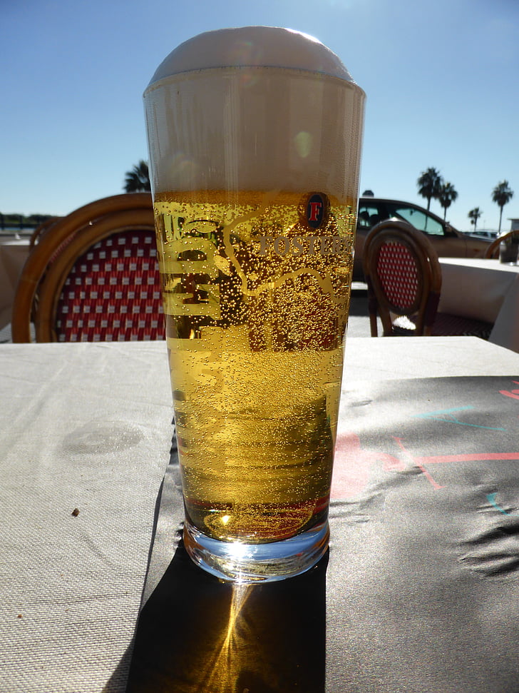 beer, summer, sunny, enjoy