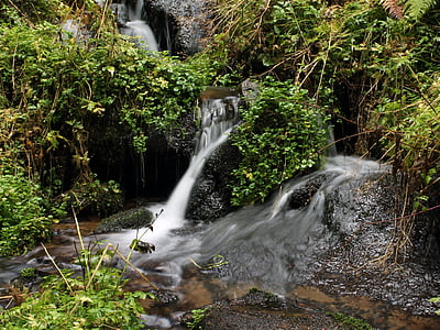 Bourn, erba, acqua, cascata, natura, diretta streaming, fiume