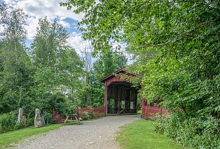 pont couvert, rural, Vermont, été, paysage, bois, nature