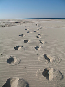 beach, tracks in the sand, sea, footprint, footprints