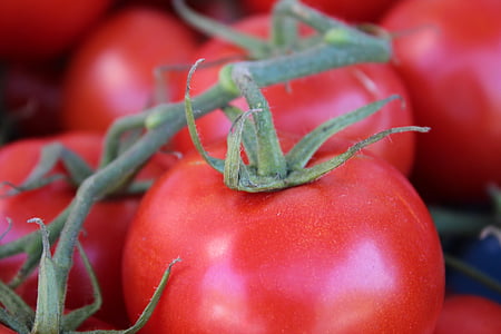 Bušs tomātu, tomāti, sarkana, dārzeņi, aizveriet, pārtika, Frisch