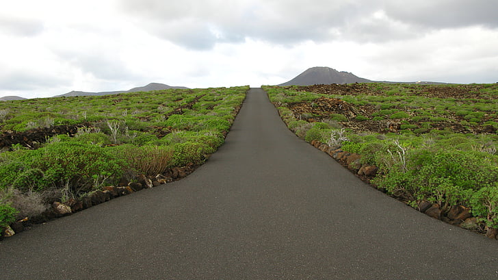 road, green, landscape, canary islands