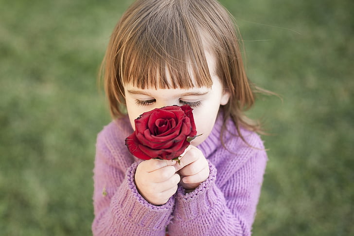 τριαντάφυλλο, Κορίτσι, κόκκινο, Μυρίζοντας ομάδα, παιδική ηλικία, μόνο τα παιδιά, το παιδί