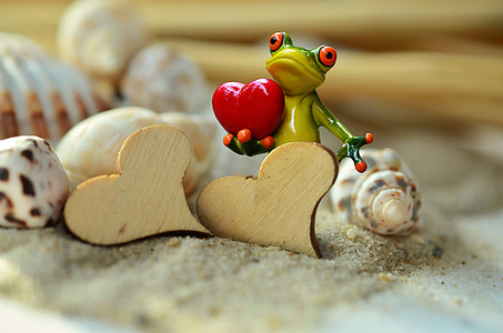 piesok, srdce, žaba, deň svätého Valentína, smiešny, drevo, mušle