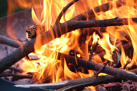 огън, горя, лагерен огън, жар, дървен материал, марка, дърва