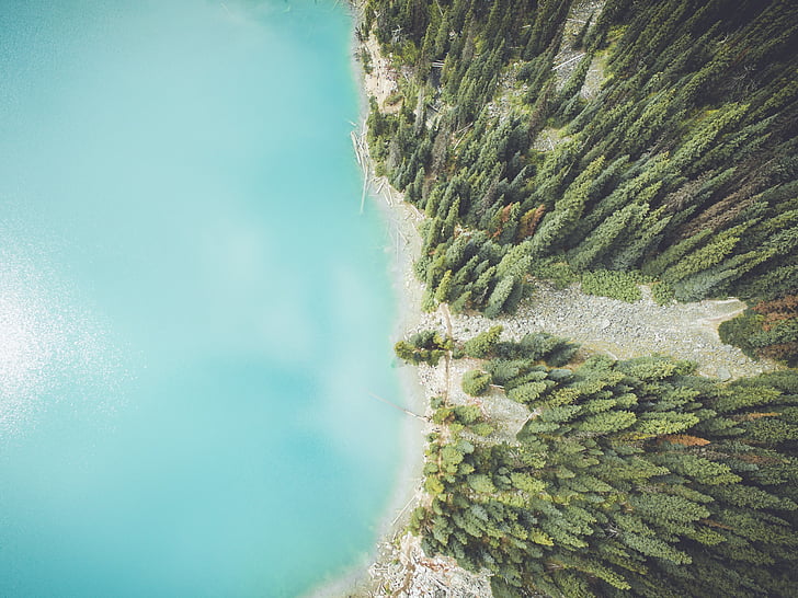 Aerial, photo, Lac, à côté de, Forest, arbre, Lac de la forêt