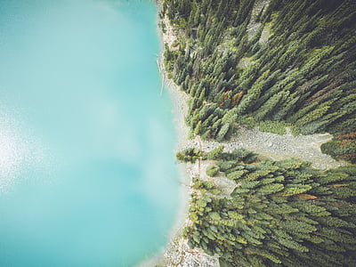 iz zraka, fotografija, jezero, zraven, gozd, drevo, gozdnega jezera