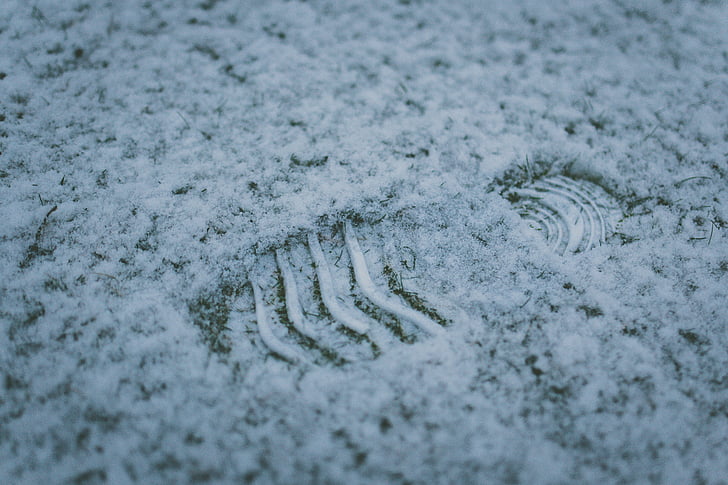 dấu chân, tuyết, mùa đông, lạnh, trắng, ngoài trời, con người