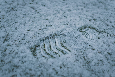 footprint, snow, winter, cold, white, outdoor, human