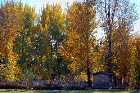 Landschaft, Herbst, Hühnerstall, Baum, herbstliche Landschaft